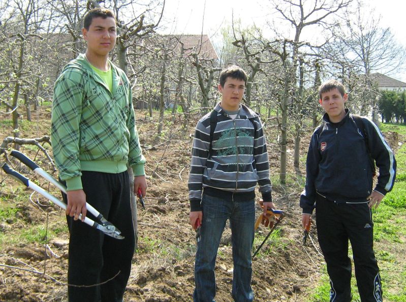Кликни да увећаш слику
