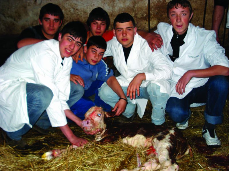 Кликни да увећаш слику