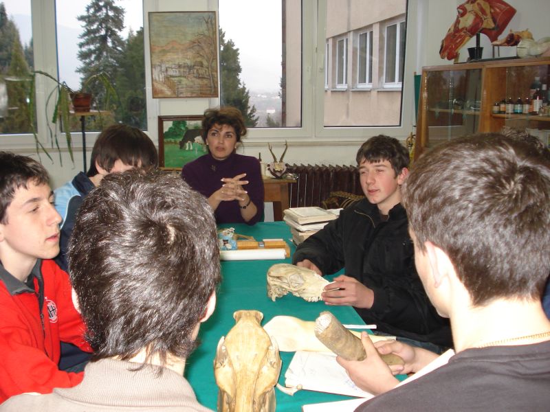 Кликни да увећаш слику